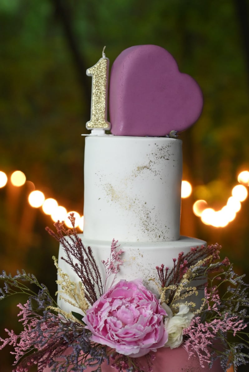 elenin-1-rodjendan-1